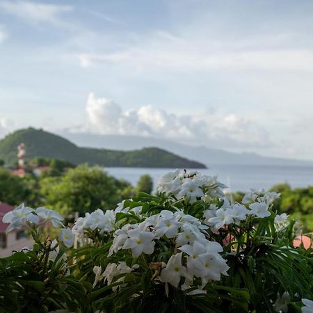 Bungalow Anse Figuier Terre-De-Haut Exterior photo